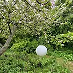 With Wild Garden Near Feriehus