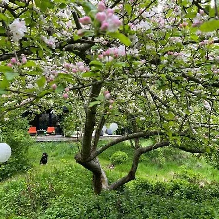 Ferienhaus With Wild Garden Near Tisvilde